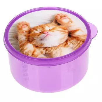 Ланч - бокс круглый