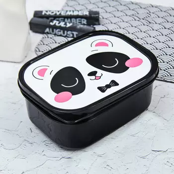 Ланч - бокс прямоугольный