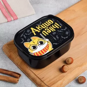 Ланч - бокс прямоугольный