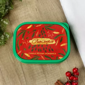 Ланч - бокс новогодний