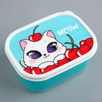 Ланч - бокс прямоугольный