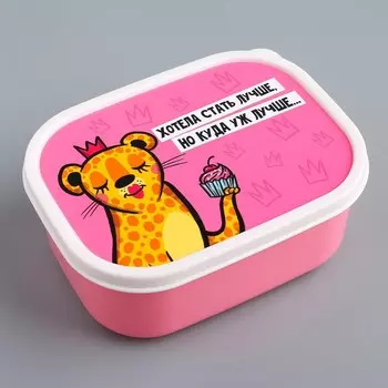 Ланч - бокс прямоугольный