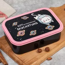 Ланч - бокс прямоугольный