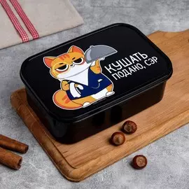 Ланч - бокс прямоугольный