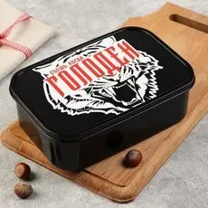 Ланч - бокс прямоугольный