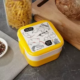 Ланч - бокс квадратный двухуровневый