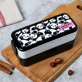 Ланч-бокс двухуровневый