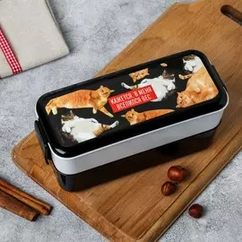 Ланч-бокс двухуровневый