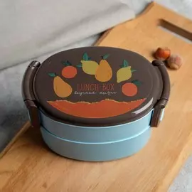 Ланч-бокс двухуровневый