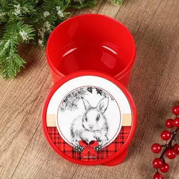 Ланч - бокс новогодний