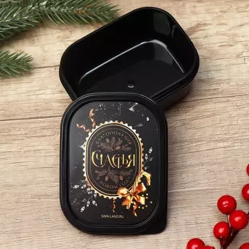 Ланч - бокс новогодний