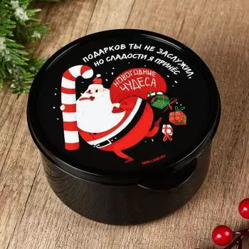 Ланч - бокс новогодний