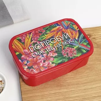 Ланч - бокс прямоугольный