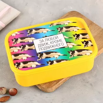 Ланч - бокс прямоугольный