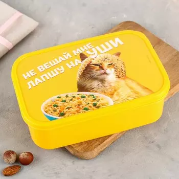 Ланч - бокс прямоугольный