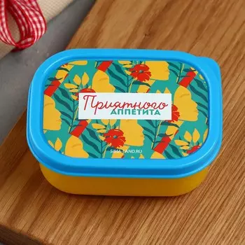 Ланч-бокс прямоугольный