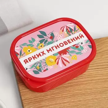 Ланч - бокс прямоугольный