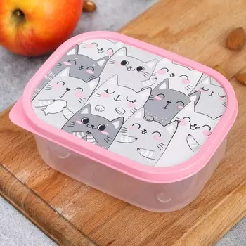 Ланч - бокс прямоугольный