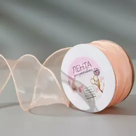 Лента капроновая