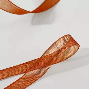 Лента капроновая, 6 мм 30 ± 1 м, цвет шоколадный