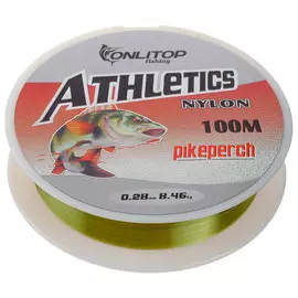 Леска pike perch, d=0,28 мм, 100 м