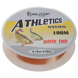 Леска white fish, d=0,16 мм, 100 м