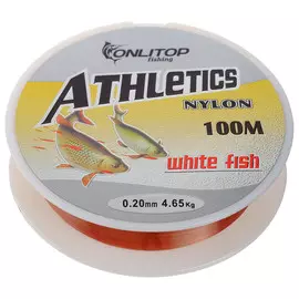 Леска white fish, d=0,20 мм, 100 м