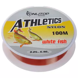 Леска white fish, d=0,25 мм, 100 м