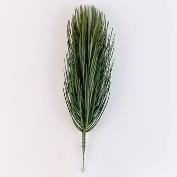 Ветка еловая декоративная, 4210 см, 1 шт.