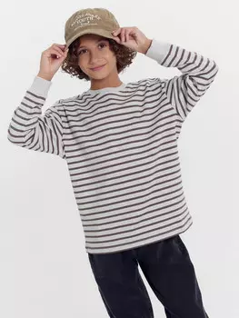 Лонгслив для мальчиков серый в шоколадно-коричневую полоску