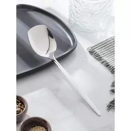 Лопатка из нержавеющей стали magistro