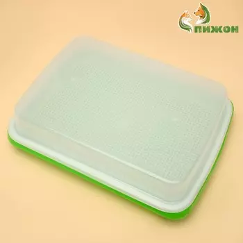 Лоток для проращивания травы кошкам с крышкой, 32 х 23,5 х 5 см
