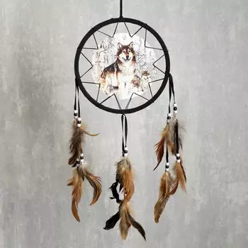 Ловец снов 4