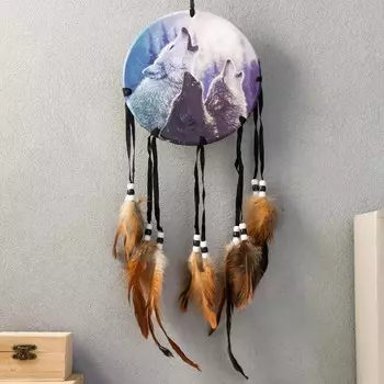 Ловец снов 6