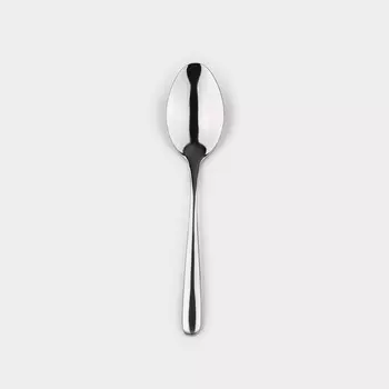 Ложка чайная из нержавеющей стали magistro