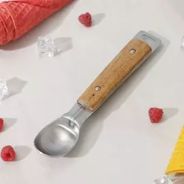 Ложка для мороженого доляна