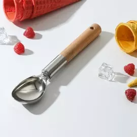 Ложка для мороженого доляна