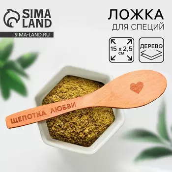 Ложка для специй дорого внимание