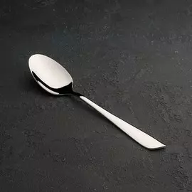 Ложка столовая magistro