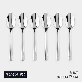 Набор чайных ложек magistro