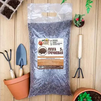 Лузга гречневая