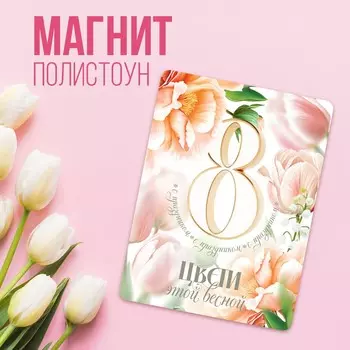 Магнит полимерный