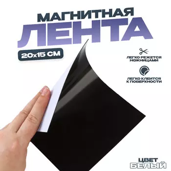 Магнитная лента