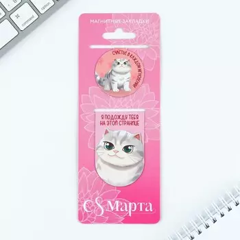 Магнитные закладки 2 шт