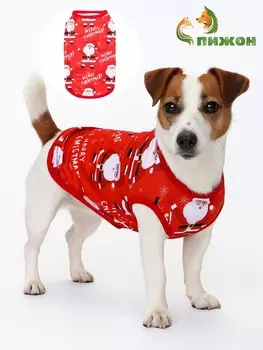 Майка merry, размер s (дс 25, ош 25, ог 35 см), красная