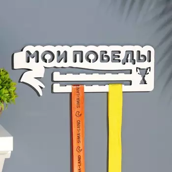 Медальница