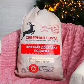 Подарочный мешок деда мороза