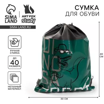 Мешок для обуви