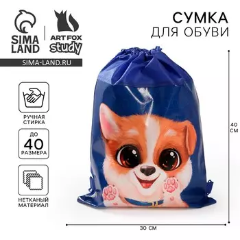 Мешок для обуви