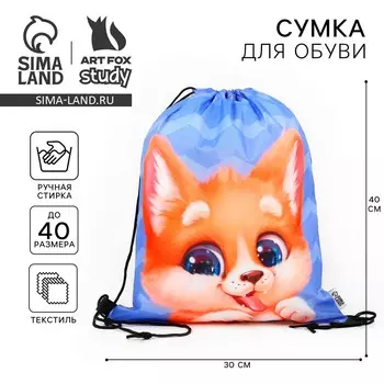 Мешок для обуви